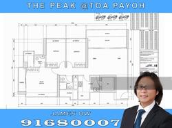 Blk 138B The Peak @ Toa Payoh (Toa Payoh), HDB 5 Rooms #143359462
